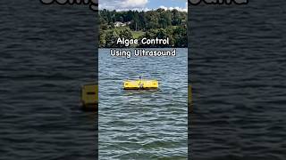 Can Ultrasound Control Algal Blooms in Lakeslakes lakelife bluegreenalgae killalgae habs fish [upl. by Conny]