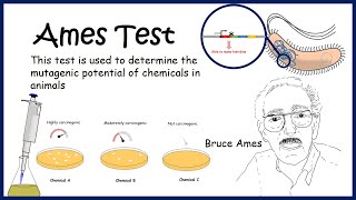 Ames test  Technique to determine mutagenic potential [upl. by Melia]