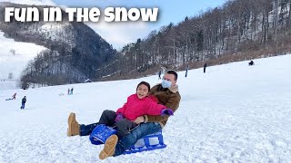 SchlittenfahrenSledding in SwitzerlandFun in the Snow [upl. by Intisar]