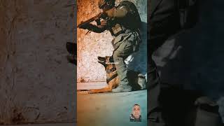 military k9 army workingk9 dog specialforces soldier music edm remix surajpaldhakad [upl. by Nekal]