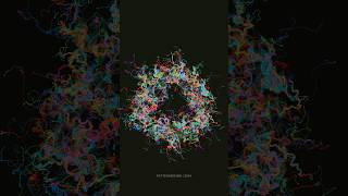 Wild bloom  creative coding generativeart mathart codeart [upl. by Ayanej]