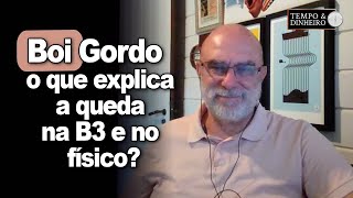 Boi gordo  o que explica a queda na B3 e no mercado físico [upl. by Cohin]