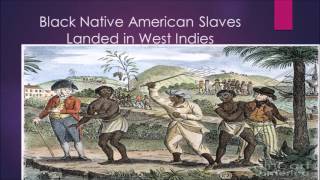 Indian Triangular Slave Trade [upl. by Leynwad]