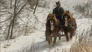 The Modern Horse Loggers of Minnesota [upl. by Ellesor]