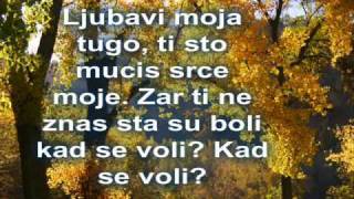 TOZOVAC Predrag Zivkovic JESEN U MOM SOKAKU [upl. by Noma56]