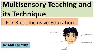 Multisensory Teaching For BEd Creating an Inclusive School By Anil Kashyap [upl. by Josefina823]