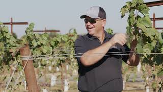 Oak Ridge Winery Rain Bird Agriculture Testimonial GritX PC Dripline  2023 [upl. by Mchail]