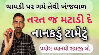 ચામડી પર ગમે તેવી ખંજવાળને એક નાનકડું ટામેટું આ રીતે મટાડી દે  ખંજવાળ નો ઈલાજ [upl. by Raman730]