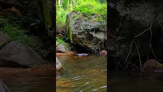 4K Rain Forest River Experience That Will Soothe Your Soul [upl. by Enaerb]