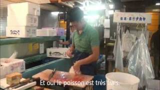 Trip Gourmand  Le marché aux poissons de Tsukiji [upl. by Eseerahs]