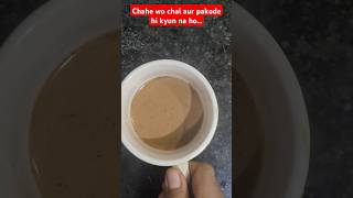 Aaj Mann Kiya ek cup adarak wali chai aur pakode ke liye  shorts ytstudio [upl. by Yniatirb270]