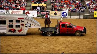 Onearmed bandit John Payne with His Buffalo at the MidAmerica Horse Fair in 2011 [upl. by Yrrac]