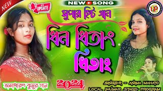 Dhin Dhitang Dhitang  Jhargram Hits Jhumur Song 2024  anima  Anima Mahato Jhumur Song  Hit Song [upl. by Rudyard]