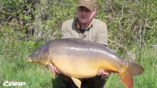 BIG CARP from small waters  top tactics [upl. by Ujawernalo]