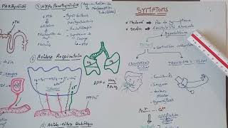 TOUS SAVOIRE SUR LHYPER PHOSPHOREMIE8 FIN SYMPTOMS ET complications [upl. by Enna395]