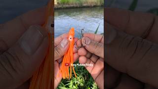 DIY FISHING TACKLE HOW TO SET BAIT FISHING SILICON fishing fishingknot tutorial [upl. by Aniakudo]