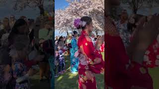 Copenhagen Sakura Festival 2023  Bonodori shorts sakurafestival copenhagensakurafestival [upl. by Stillman814]