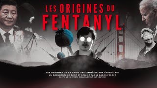 Crise du Fentanyl Les Origines de lÉpidémie qui Décime lAmérique [upl. by Aimerej]