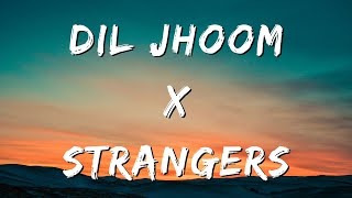 Dil Jhoom x Strangers Mashup  Multifandom [upl. by Raffo]