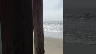 Under Cayucos Pier on a foggy day beach cayucos pier pacific [upl. by Ayrb]