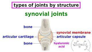 Joints Structure and Types of Motion [upl. by Gwendolin]