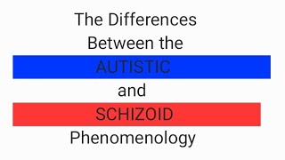 A psychoanalytic talk on the differences between Autistic and Schizoid phenomenology [upl. by Wertheimer537]