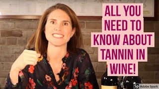 Mastering Wine What are Tannins in Wine [upl. by Eiramalegna]