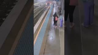 Runaway Horse Surprises Travelers at Sydney Train Station [upl. by Yzmar]