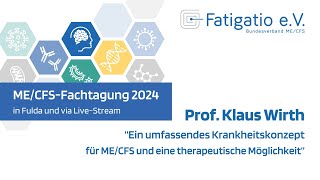 Prof Klaus Wirth  Vortrag auf der MECFSFachtagung 2024 [upl. by Damek479]