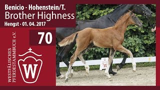 70 Brother Highness Hengst v Benicio  Hohenstein [upl. by Analihp]