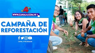 Nicaragua inicia campaña de reforestación “Verde que te quiero Verde” [upl. by Hanako415]