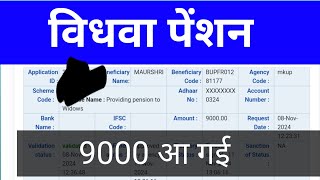 🙎विधवा पेंशन भेजना हुआ शुरू  vidhwa pension kab aayegi  new vidhwa pension kab ayegi 2025 [upl. by Zaid]