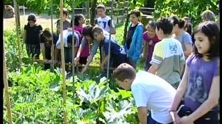 Frutta nelle scuole in Emilia Romagna [upl. by Rodrigo313]