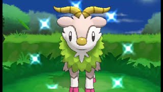 SHINY SKIDDO IN XY POKERADAR  EVOLUTION [upl. by Deva848]