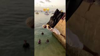 Funny dolphin wrong way in Zanzibar beach  Im so sad on this  please support [upl. by Aelanna548]