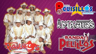 Pequeños Musical Banda Cuisillos Pelillos  Bandas Viejitas Pero Bonitas Mix Romanticas Movidas [upl. by Brooks249]