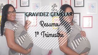 1° Trimestre GRAVIDEZ Gemelar  Medos e ansiedade [upl. by Ydnak]