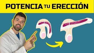 Los 5 Trucos SECRETOS para ERECCIONES más Potentes HAZ ESTO para mejorar TUS erecciones [upl. by Stempien]