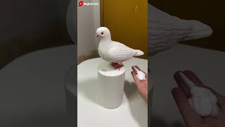 Amazing Piegeon 🤯 New Viral Gadgets Smart Appliances Kitchen Utensils Home Inventions shorts [upl. by Royd]