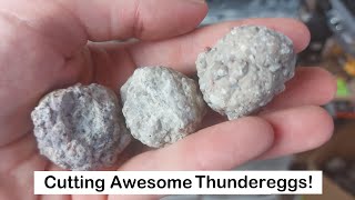 Cutting Awesome Killer Thundereggs Lapidary and Rockhounding [upl. by Bible]