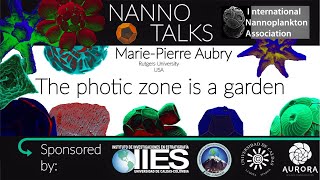 Chapter I  Episode I The photic zone is a garden  NannoTalks [upl. by Ellenad]