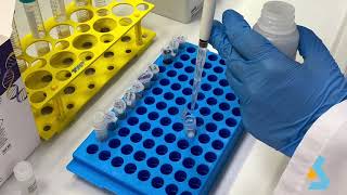 02  DNA Isolation from bacterial culture [upl. by Eenafit940]