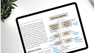 GoodNotes 5 as a PDF reader EVERYTHING you need to know [upl. by Aihsaei]