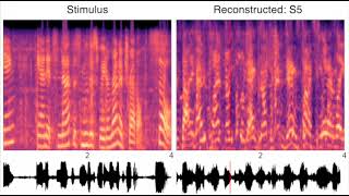 Reconstructed sounds under natural sound listening conditions Park et al 2024 S1 [upl. by Waldner]