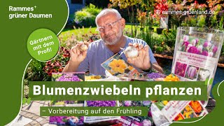 Blumenzwiebeln pflanzen – Vorbereitung auf den Frühling [upl. by Ecirtram]