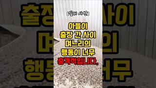 아들이 출장 간 사이 며느리의 행동이 너무 충격적입니다 [upl. by Keene]