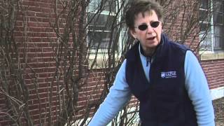 How to Prune a Lilac Bush [upl. by Hartill]