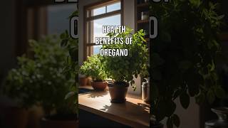 Health Benefits of Oregano [upl. by Sedaiuqlem]