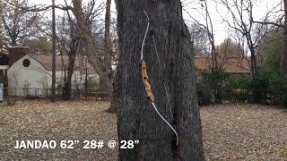 Quick Review On The JANDAO SZXL Recurve Bow [upl. by Naimad]