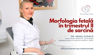 Morfologia fetală în trimestrul II de sarcină I Dr Mona Zvâncă I Femmeboutiquemedicalcom [upl. by Natehc]